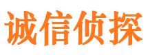 大丰市私人侦探